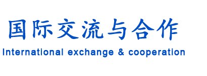 交流动态