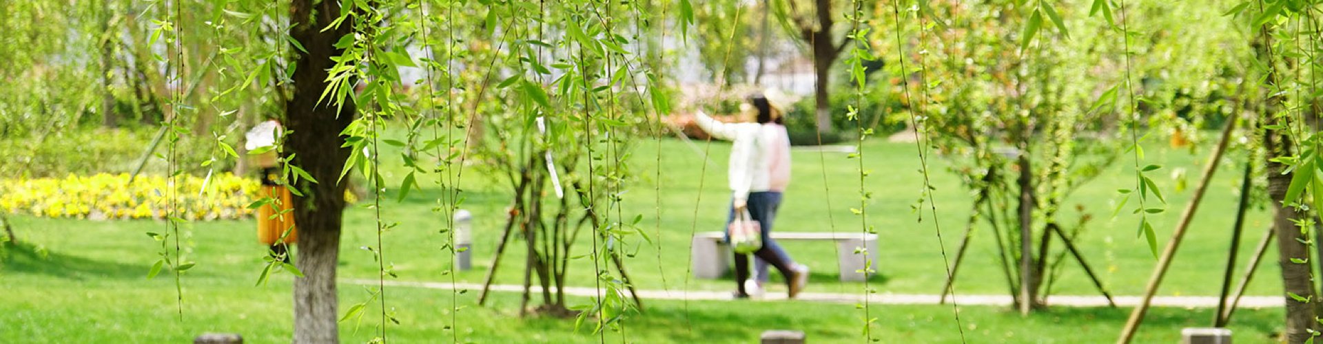 欢迎广大师生光临